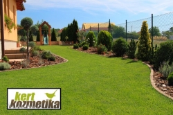 Szép zöld gyepfelület (29)